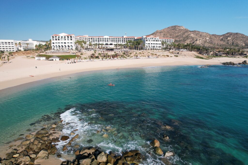 Cabo San Lucas Turtle Release | Hilton Los Cabos