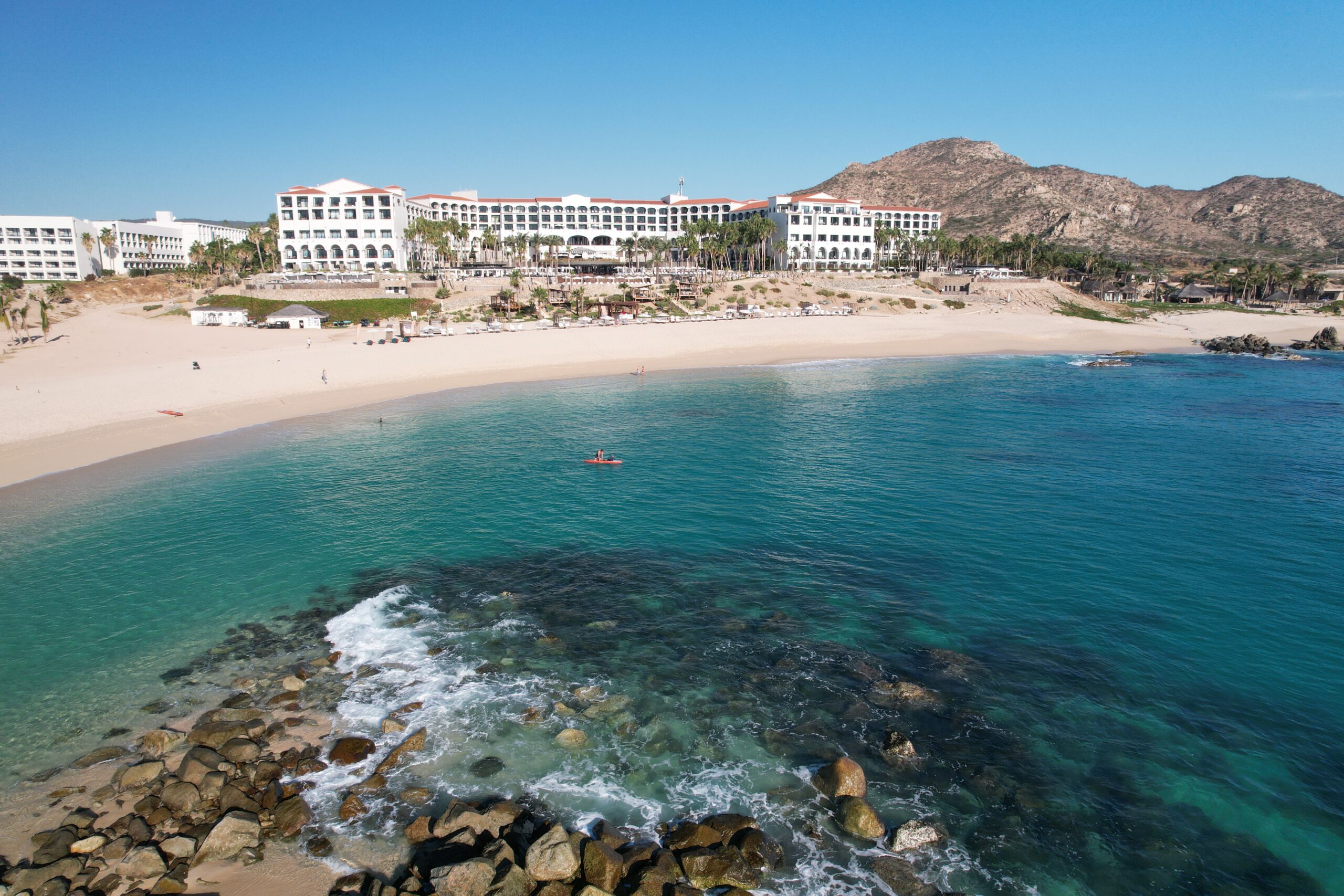 Cabo San Lucas Turtle Release | Hilton Los Cabos